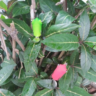 Nhái giả f40 tnt lure
