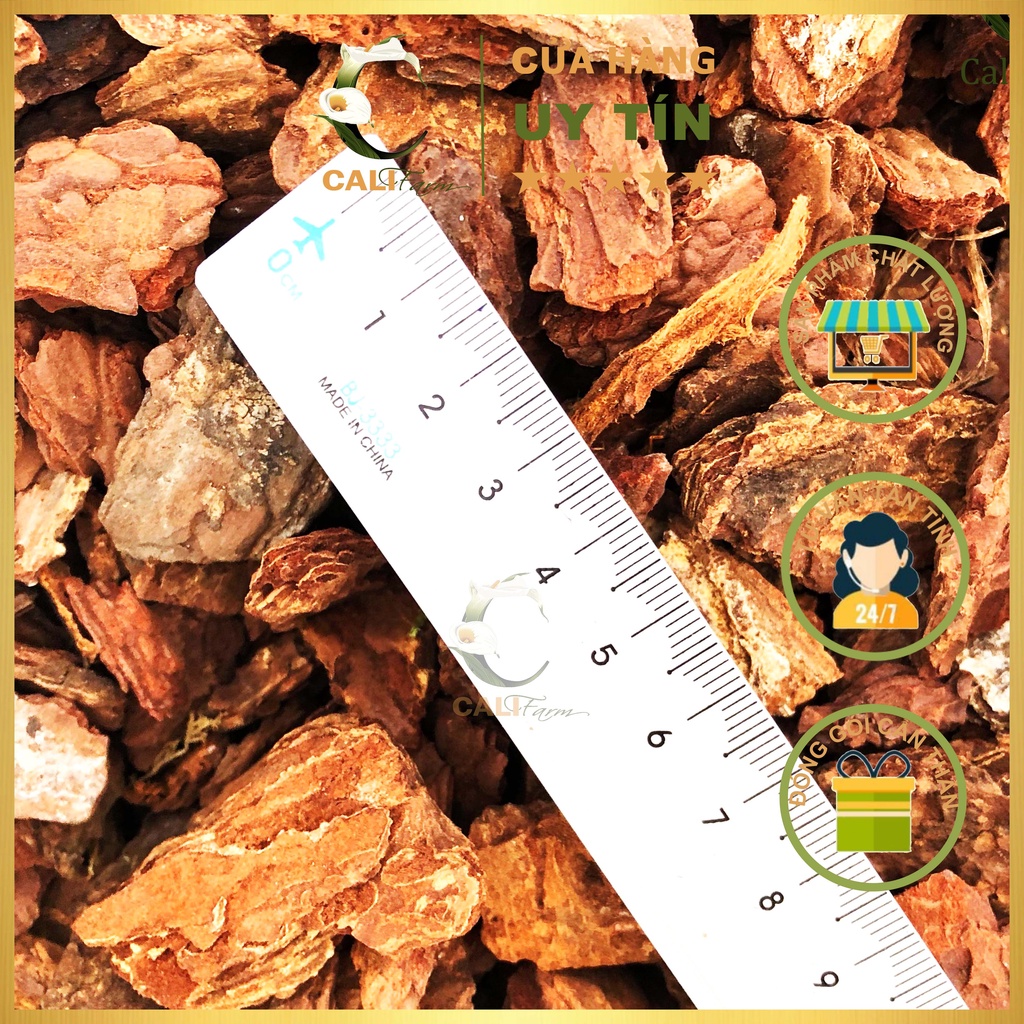 Vỏ Thông Đỏ Phú Quý cao cấp loại 2- 4cm đã qua xử lí, đã được mài cạnh
