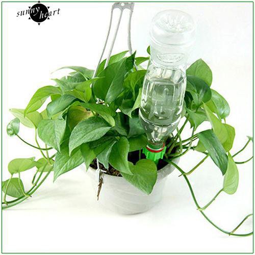 Bình tưới nước nhỏ giọt