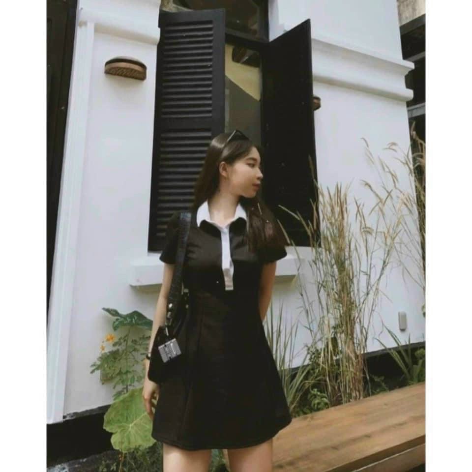 đầm dáng xòe A cổ bẻ viền trắng chất coton đẹp pu