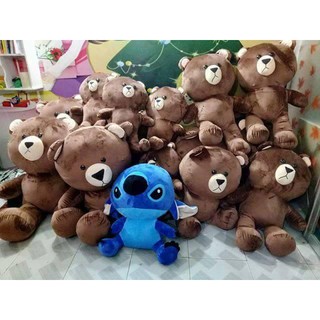 Gấu bông Brown 1M4