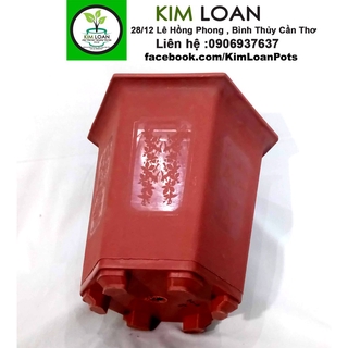 Combo 4 chậu lục giác đỏ 25x25cm