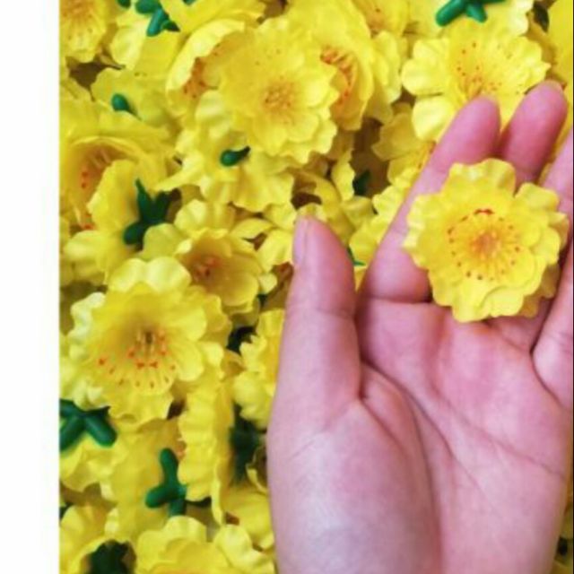 240 bông hoa mai vàng trang trí