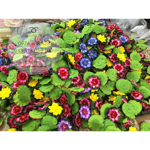 Hoa sen thả nổi trang trí phong thuỷ non bộ, tiểu cảnh, hoa thả bát sen