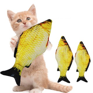 Cá catnip đồ chơi cho chó mèo