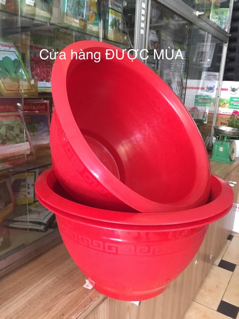 Combo 3 chậu truyền thống đk 47cm