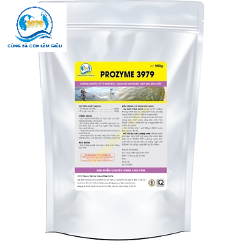 PROZYME 3979- ENZYME CHUYÊN XỬ LÝ NHỚT ĐÁY, VÁNG BỌT, RONG RÊU, ĐÁY ĐEN, SÌNH THỐI