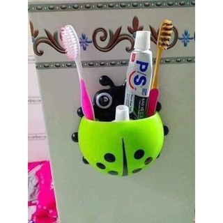 bọ rùa để bàn chải