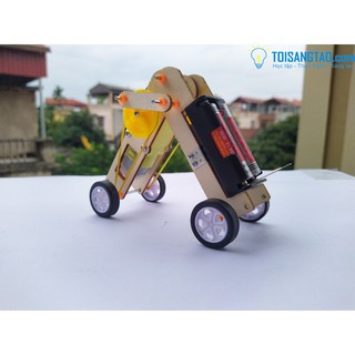 Robot Sâu Đo - Đồ Chơi Khoa học (STEM)