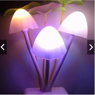 Combo đèn ngủ cây nấm cảm ứng đổi màu