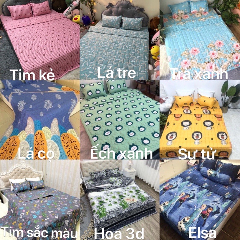 Chăn hè ( mền ) COTTON POLY trần bông 3 lớp, chat chọn mẫu