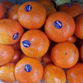Quýt Ú.c ngọt thơm, mỏng vỏ