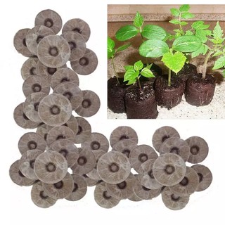 (Tặng kích mầm) 50 Viên nén ươm hạt - Viên nén xơ dừa gieo hạt giống