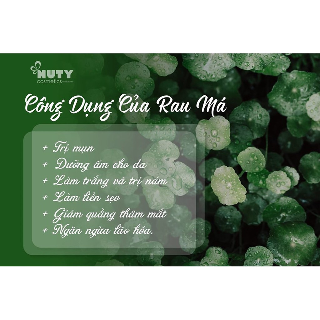 Tinh Chất Giảm Mụn, Mờ Thâm, Làm Dịu Và Phục Hồi Da Skin1004 Madagascar Centella Ampoule 100ml | BigBuy360 - bigbuy360.vn