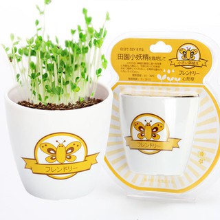 CÂY TỰ TRỒNG TRONG CỐC ( LƯỚT ĐỂ XEM THÀNH QUẢ)