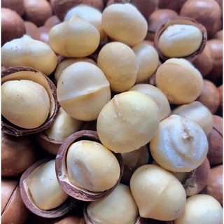 Hạt Mắc Ca Úc nứt vỏ