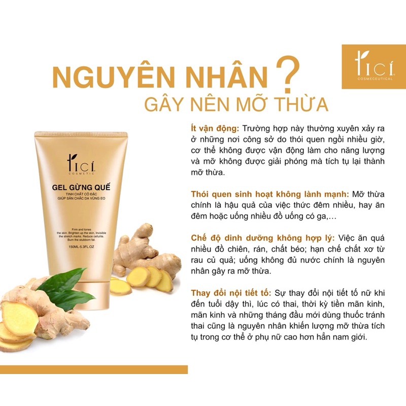 TINH CHẤT TAN MỠ GEL GỪNG QUẾ TICI