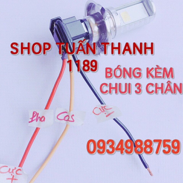 BÓNG ĐÈN PHA LED XE MÁY 12V 3 CHÂN KÈM CHUI CÓ COS PHA