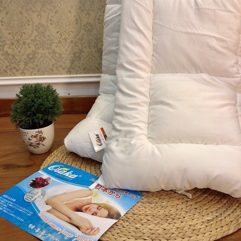 Combo 3 Ruột chăn ks