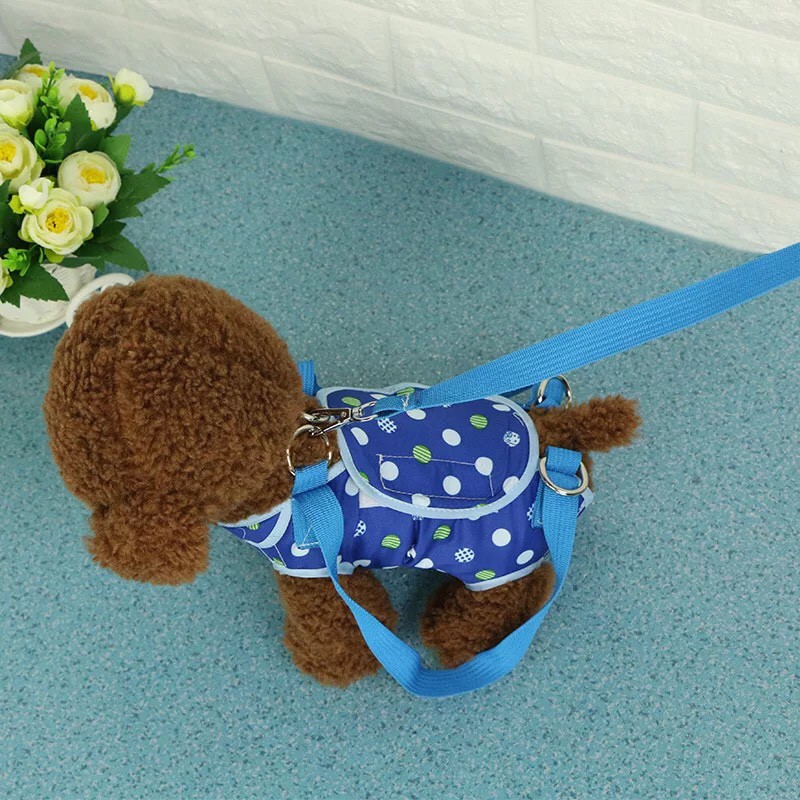 Túi Đeo Xách Thú Cưng Hình Chấm Bi