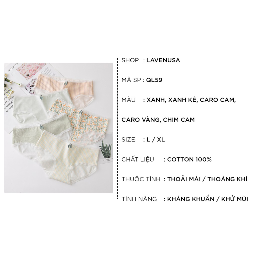 Quần lót nữ cotton cao cấp kháng khuẩn in hoạ tiết co giãn 4 chiều QL59 | BigBuy360 - bigbuy360.vn