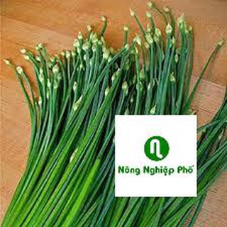 5 GRAM HẠT GIỐNG HẸ BÔNG PHUNONG