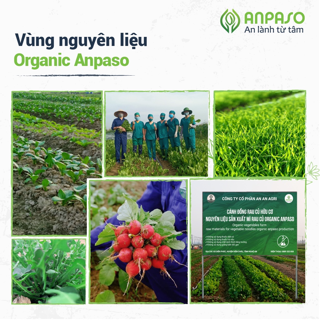 Mì Bí Đỏ Ăn Dặm Anpaso, Mì Organic Bí Đỏ Ăn Dặm kiểu Nhật cho bé từ 7 tháng bổ sung chất xơ, cải thiện táo bón 300g