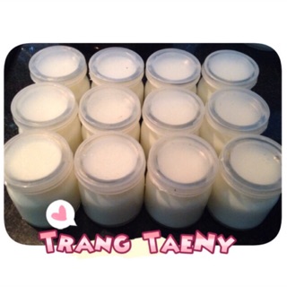 Hũ thuỷ tinh đựng sữa chua / Lọ thuỷ tinh 100ml