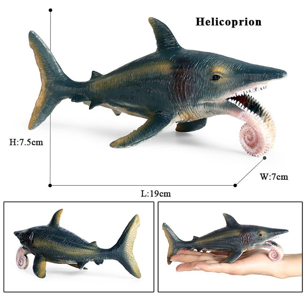 Mô Hình Phong Cảnh Biển Helicoprion Độc Đáo