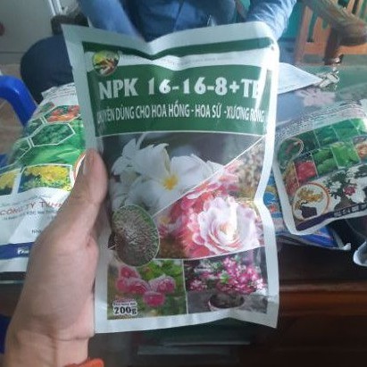 NPK 16-16-8 cho hoa hồng, hoa sứ