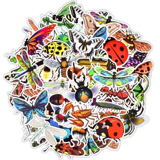 Stiker côn trùng 30-60 decal ép lụa bóc dán/ hình dán côn trùng