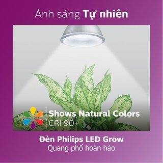 Đèn chiếu cây Philips LED Grow