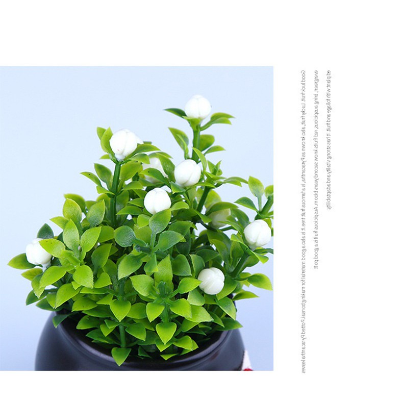 [RẺ VÔ ĐỊCH] CHẬU HOA TRANG TRÍ Ô TÔ, TRANG TRÍ BÀN LÀM VIỆC [BỀN - RẺ - ĐẸP] | BigBuy360 - bigbuy360.vn