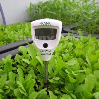 BÚT ĐO ĐỘ DẪN ĐIỆN TRONG ĐẤT HANNA HI98331
