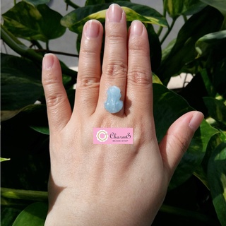 Tỳ hưu xanh aqua mini