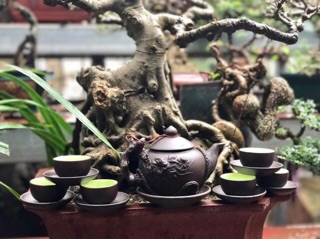 Bộ ấm chén tử sa đắp nổi Bát Tràng, Bộ Trà Đắp Nổi Tùng Cúc