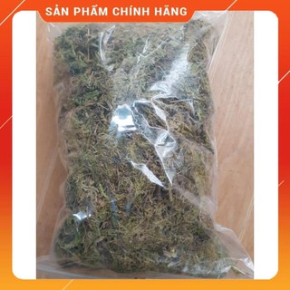 RÊU RỪNG TRỒNG LAN