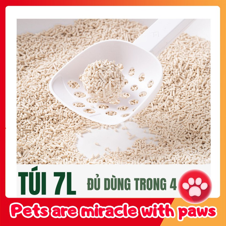 Cát Vệ Sinh Hữu Cơ Bã Đậu Nành Cho Mèo Tofu Cat Litter 7l PetLand