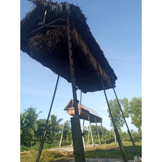 Siêu ưu đãi - Combo 5 kg phân dơi