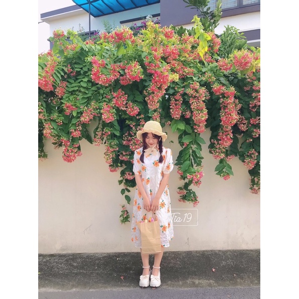 Váy babydoll hoa cam ulzzang Tia19. Đầm hoa cam ulzzang (ảnh thật).