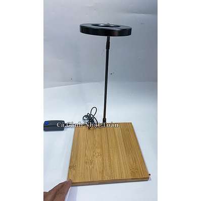 ĐẾ GỖ CÓ ĐÈN LED RỌI CHO CHẬU THỦY SINH THỦY SINH