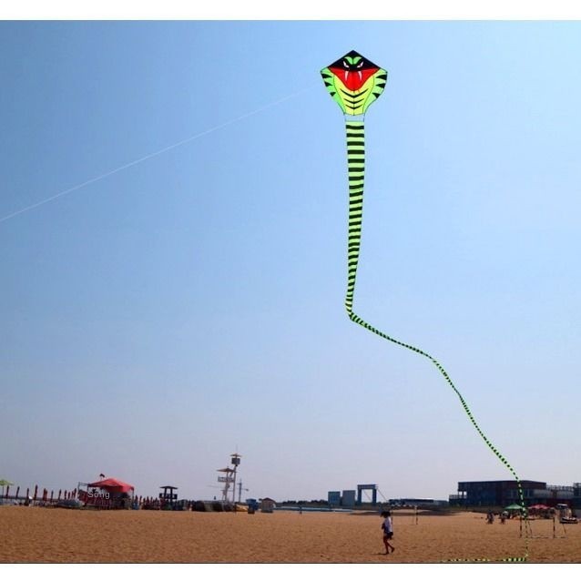 Weifang kite trẻ em [diều rắn đuôi dài + dây chuyền- Bánh xe] Diều rồng lớn Cuộn người