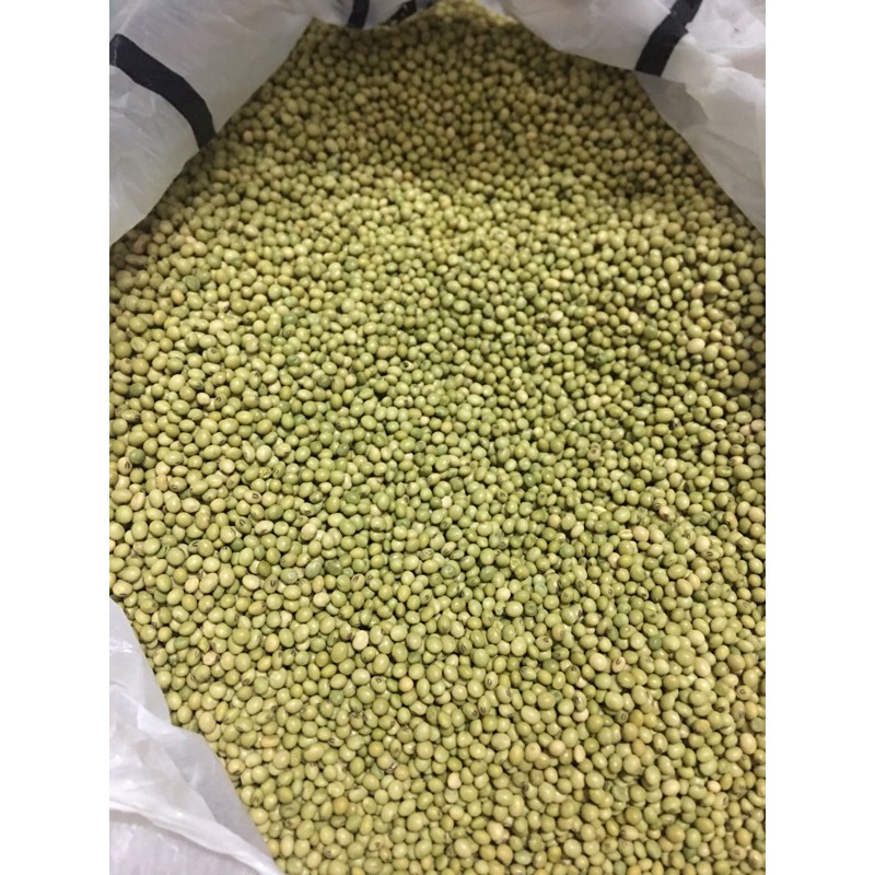Đậu Nành( Đậu Tương) quê, giống thuần chủng vỏ xanh( 80k/1kg) | BigBuy360 - bigbuy360.vn