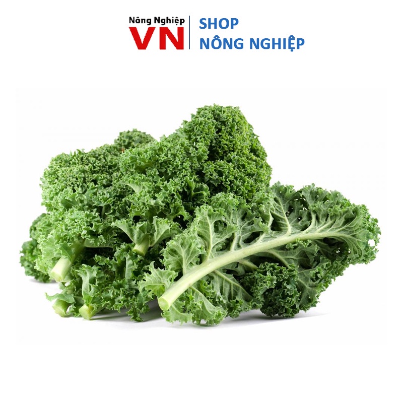 Nhiều Loại Hạt Giống Cải Kale Xoăn Nhiều Dinh Dưỡng, Dễ Trồng
