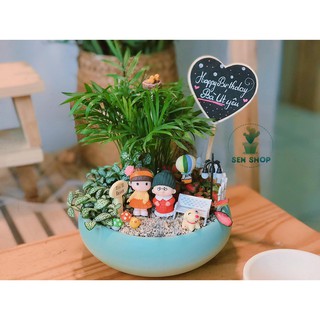 Cau tiểu trâm, may mắn, tài lộc .