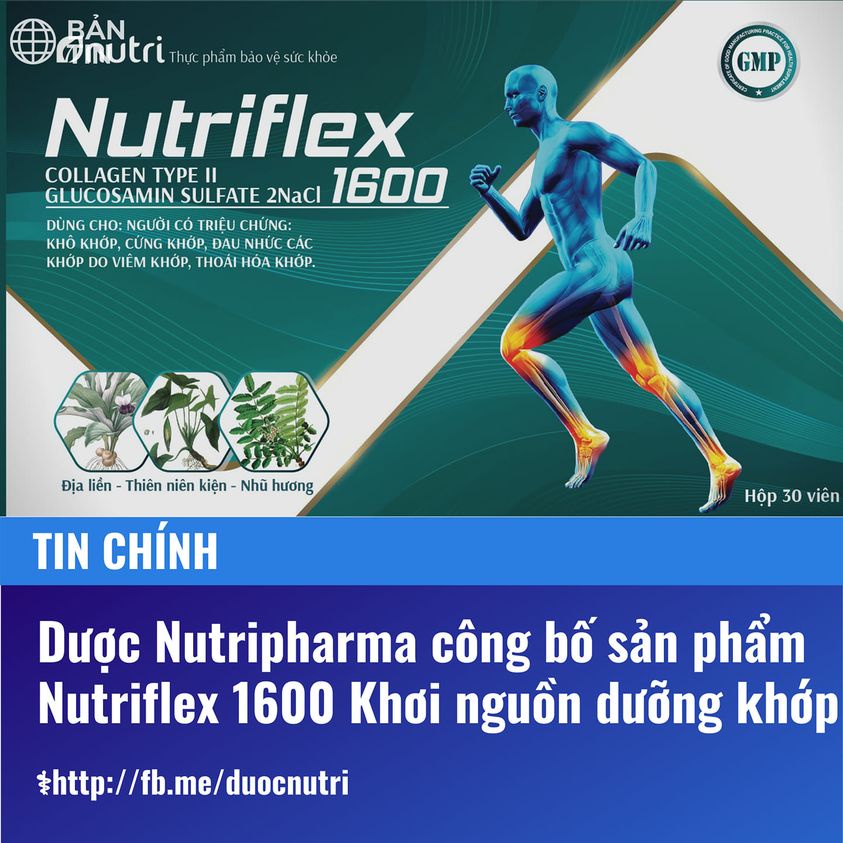 NutriFlex 1600 - Dưỡng khớp
