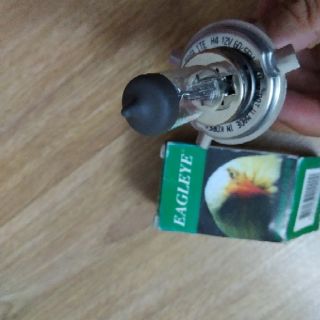 Bóng đèn pha h4