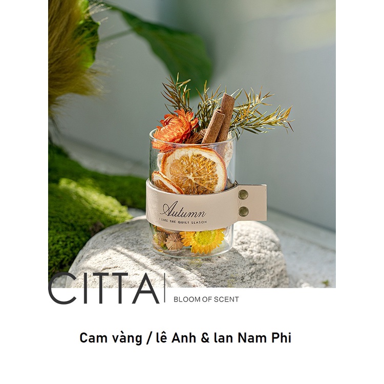 N04- THANH LÝ Tinh Dầu Thơm CITTA Trang Tri  Trang Trí PLANT SPIRIT Phong Cách Thiên Nhiên, Decor Phòng,  Thủ Công