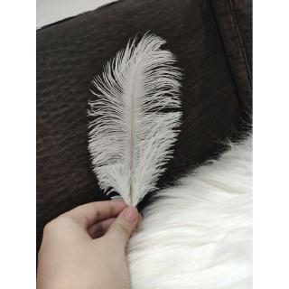 Trang trí sợi lông vũ trắng