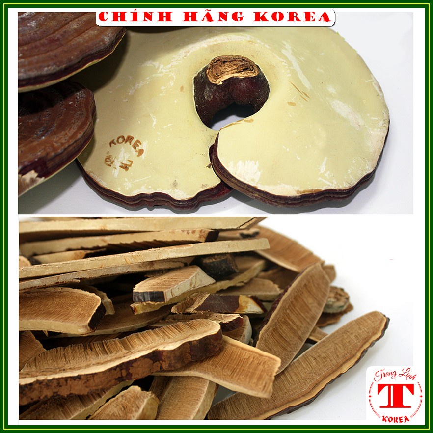 Nấm linh chi hàn quốc thượng hạng - Nấm hộp đỏ Vip 1kg - Thải độc, thanh lọc cơ thể, phòng ung thư - tranglinh